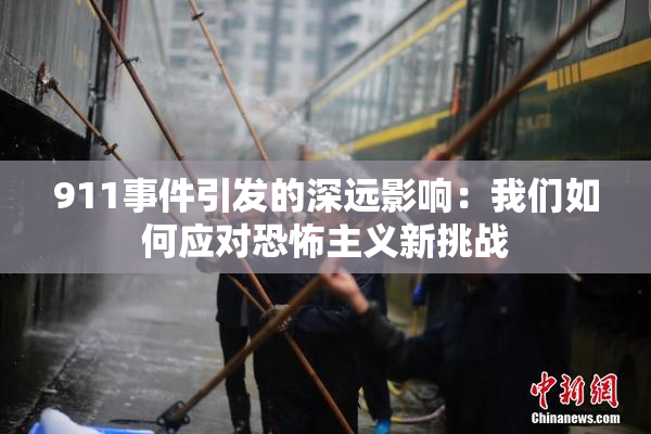 911事件引发的深远影响：我们如何应对恐怖主义新挑战
