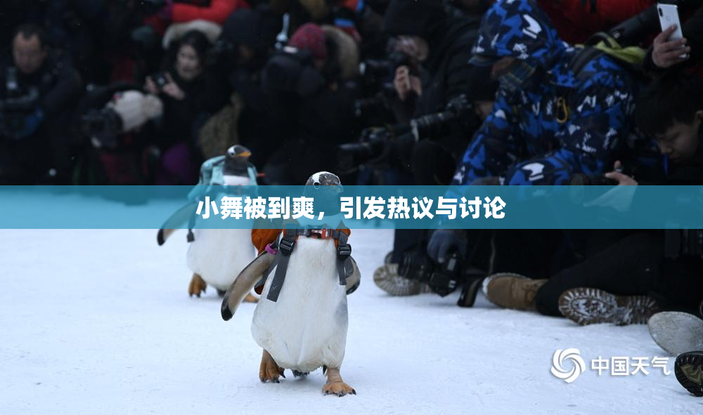 小舞被到爽，引发热议与讨论