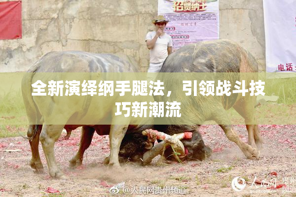 全新演绎纲手腿法，引领战斗技巧新潮流
