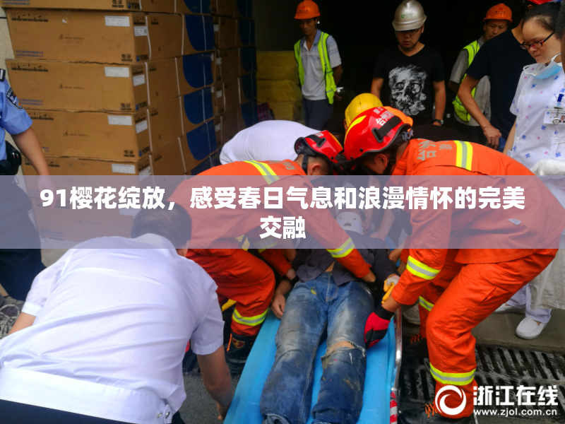 91樱花绽放，感受春日气息和浪漫情怀的完美交融