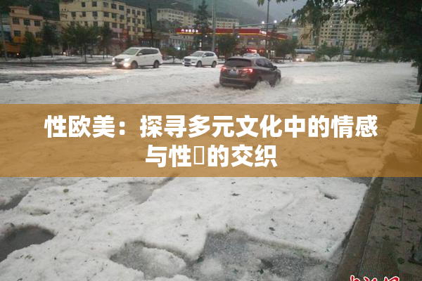 性欧美：探寻多元文化中的情感与性愛的交织