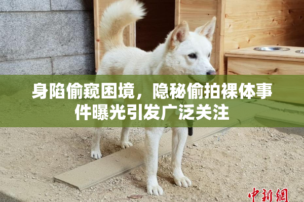 身陷偷窥困境，隐秘偷拍裸体事件曝光引发广泛关注