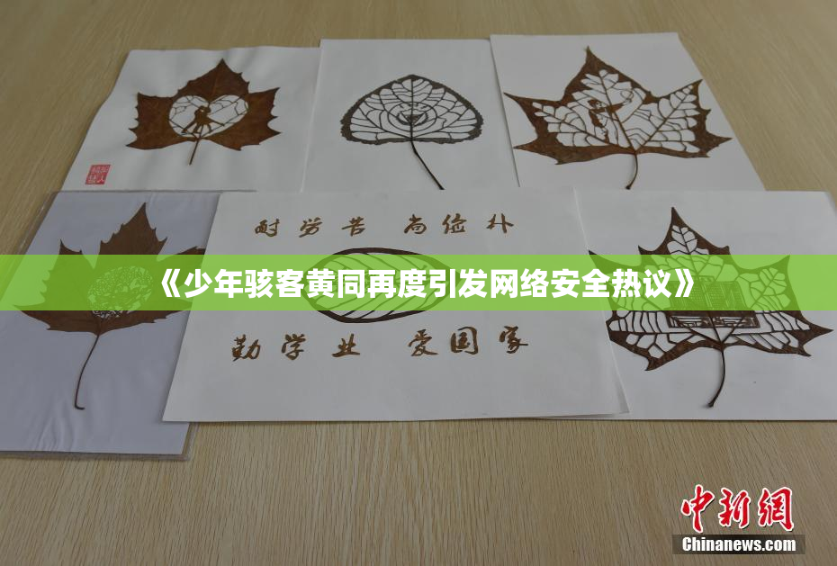 《少年骇客黄同再度引发网络安全热议》