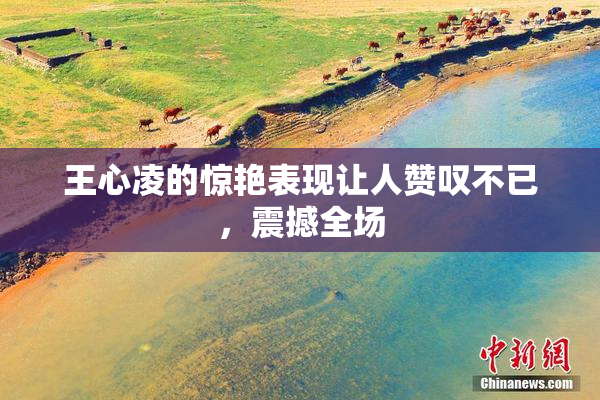 王心凌的惊艳表现让人赞叹不已，震撼全场