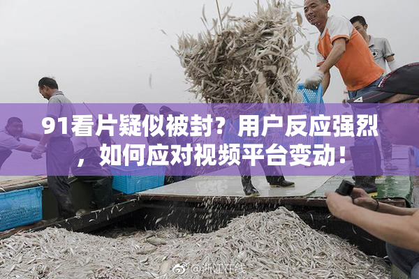 91看片疑似被封？用户反应强烈，如何应对视频平台变动！