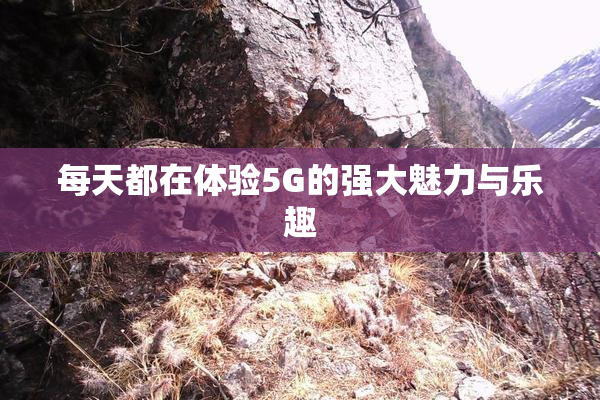 每天都在体验5G的强大魅力与乐趣