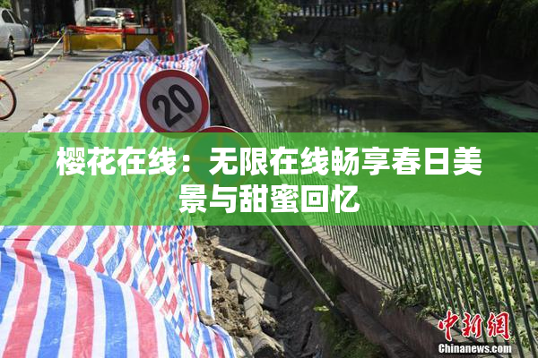 樱花在线：无限在线畅享春日美景与甜蜜回忆