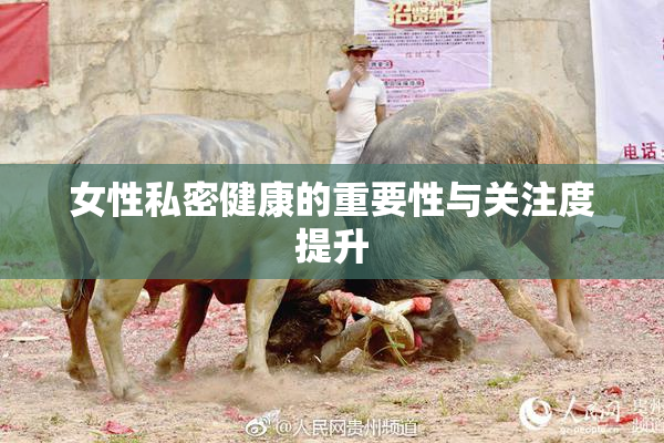 女性私密健康的重要性与关注度提升