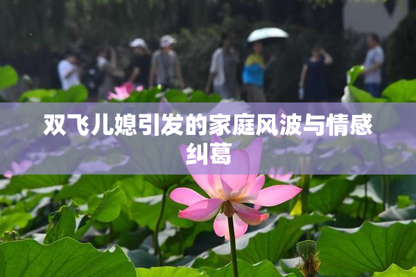 双飞儿媳引发的家庭风波与情感纠葛