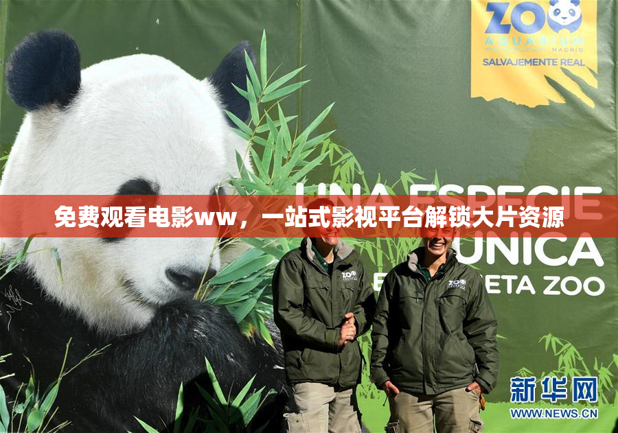 免费观看电影ww，一站式影视平台解锁大片资源
