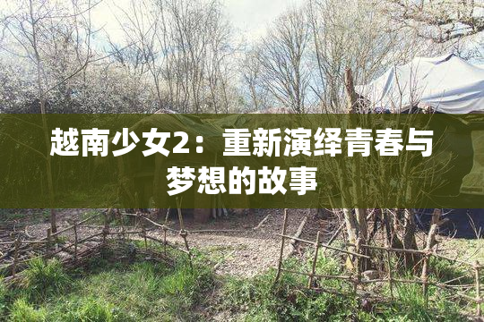 越南少女2：重新演绎青春与梦想的故事
