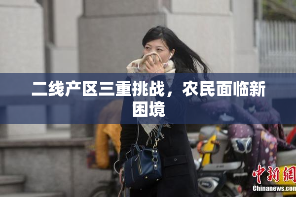 二线产区三重挑战，农民面临新困境