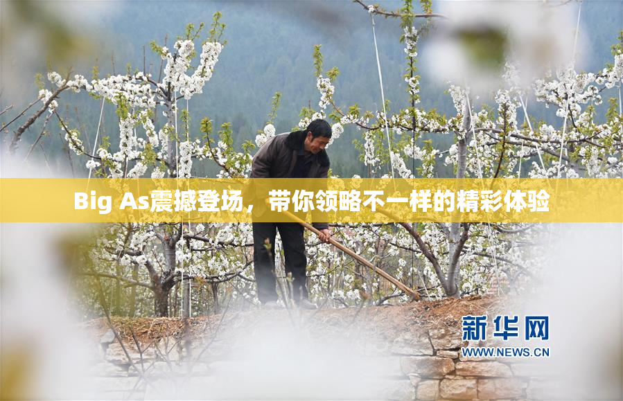 Big As震撼登场，带你领略不一样的精彩体验