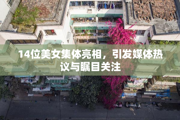 14位美女集体亮相，引发媒体热议与瞩目关注