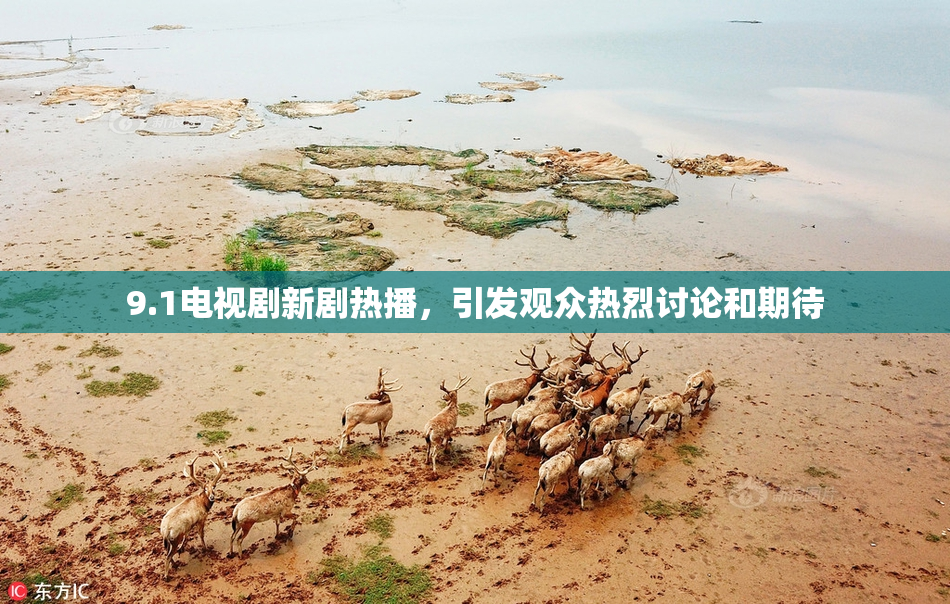 9.1电视剧新剧热播，引发观众热烈讨论和期待