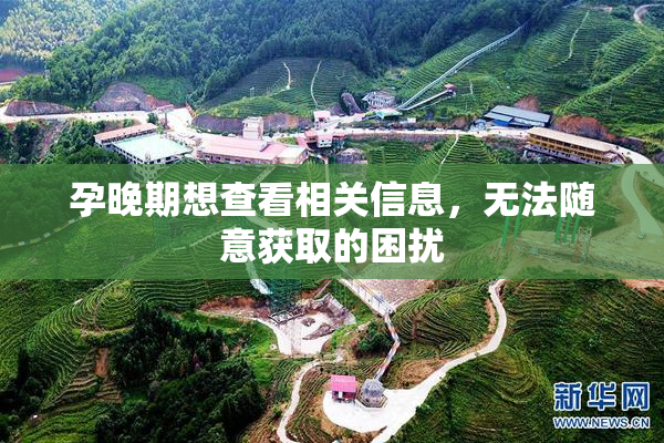 孕晚期想查看相关信息，无法随意获取的困扰