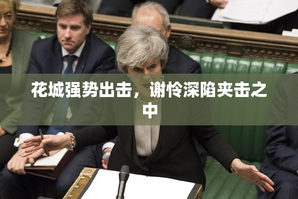 花城强势出击，谢怜深陷夹击之中