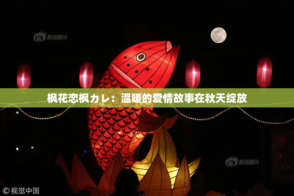 枫花恋枫カレ：温暖的爱情故事在秋天绽放