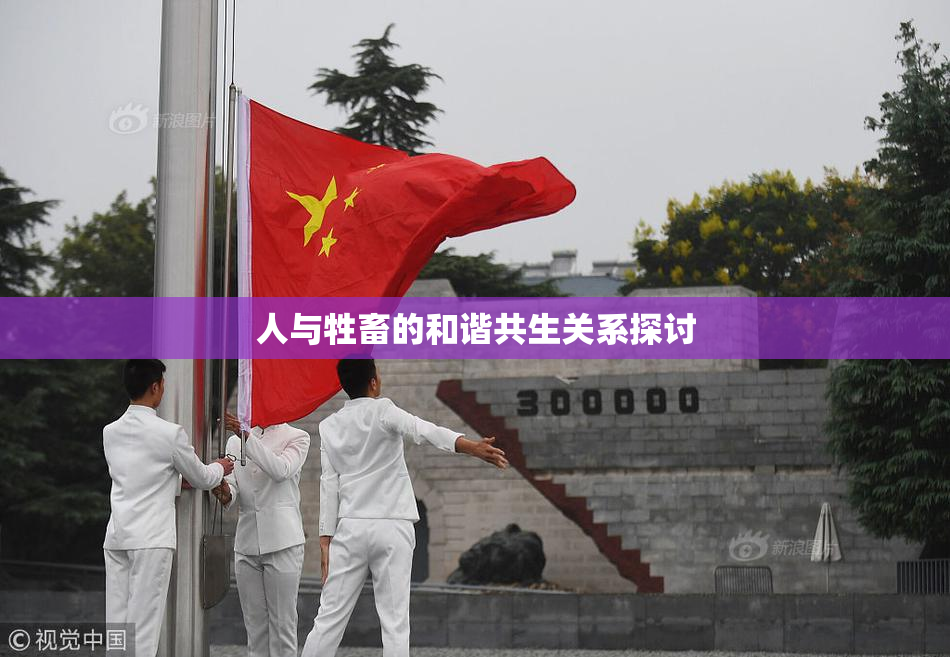 人与牲畜的和谐共生关系探讨