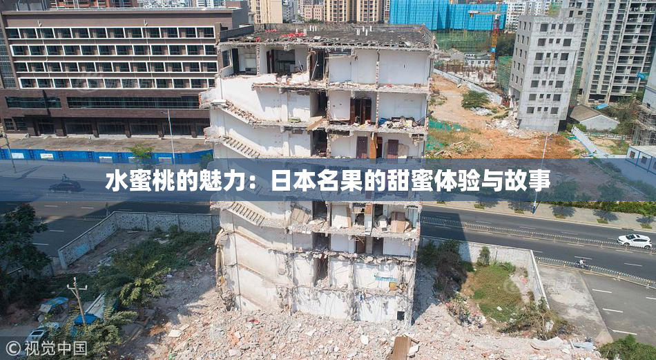 水蜜桃的魅力：日本名果的甜蜜体验与故事