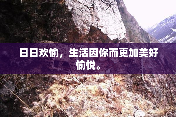 日日欢愉，生活因你而更加美好愉悦。