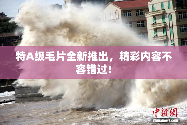 特A级毛片全新推出，精彩内容不容错过！