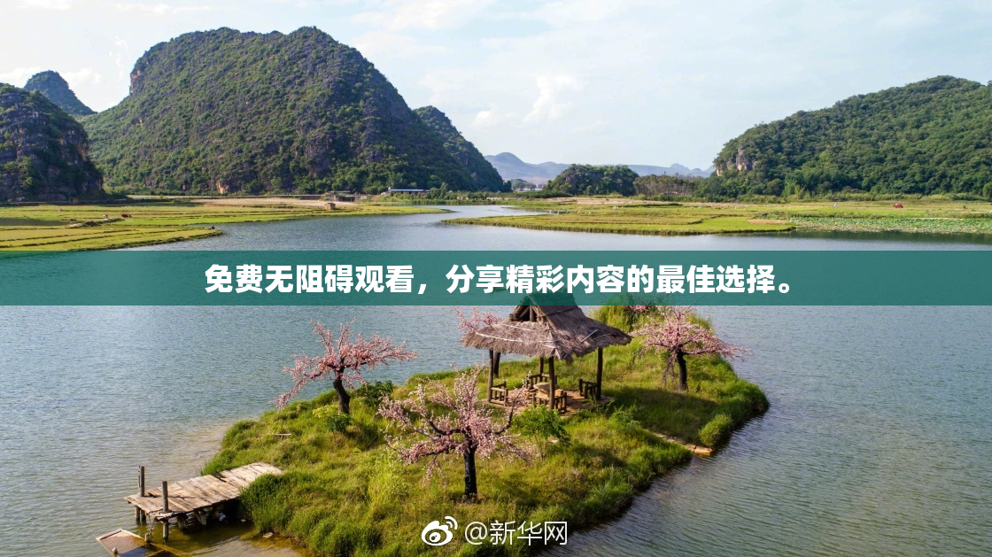 免费无阻碍观看，分享精彩内容的最佳选择。