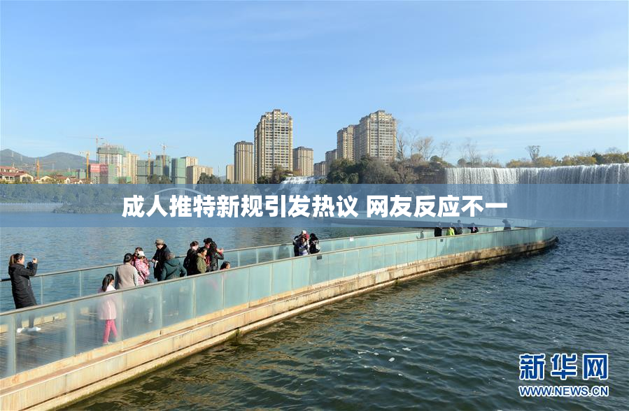 成人推特新规引发热议 网友反应不一