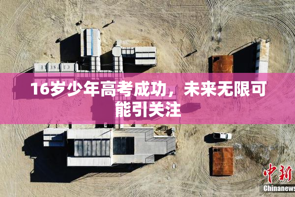 16岁少年高考成功，未来无限可能引关注
