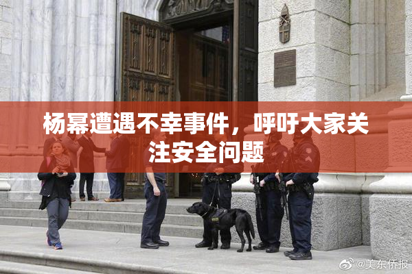 杨幂遭遇不幸事件，呼吁大家关注安全问题