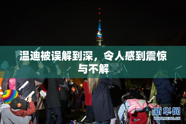温迪被误解到深，令人感到震惊与不解