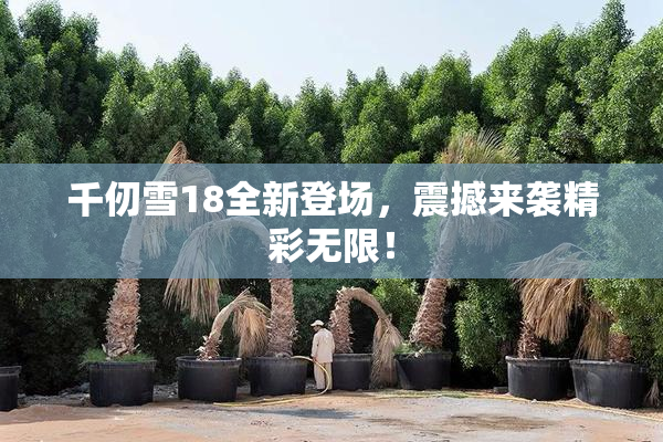 千仞雪18全新登场，震撼来袭精彩无限！