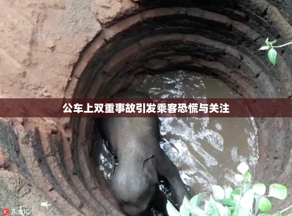 公车上双重事故引发乘客恐慌与关注