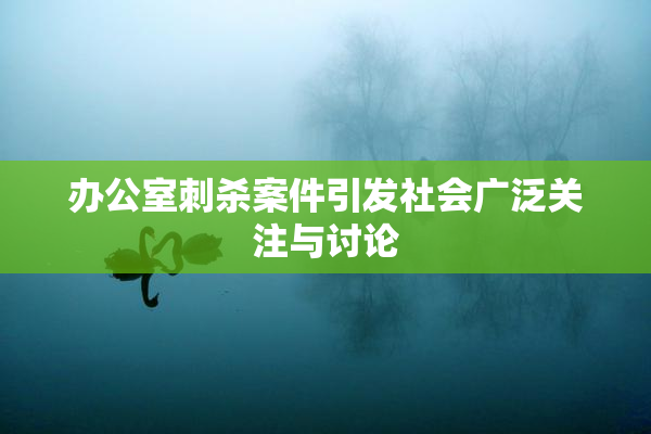 办公室刺杀案件引发社会广泛关注与讨论