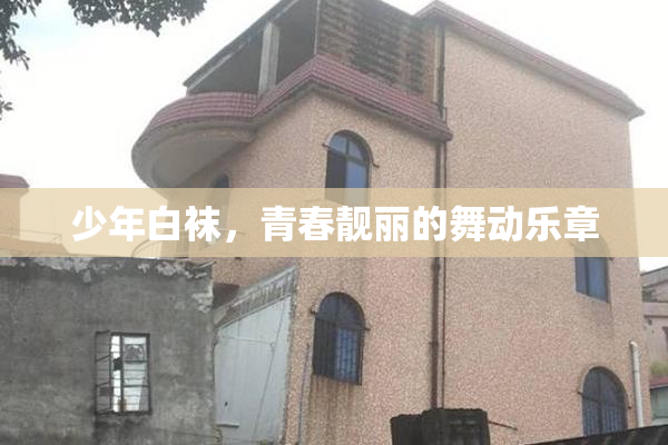 少年白袜，青春靓丽的舞动乐章
