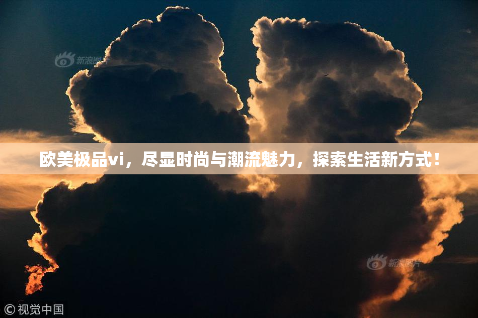 欧美极品vi，尽显时尚与潮流魅力，探索生活新方式！