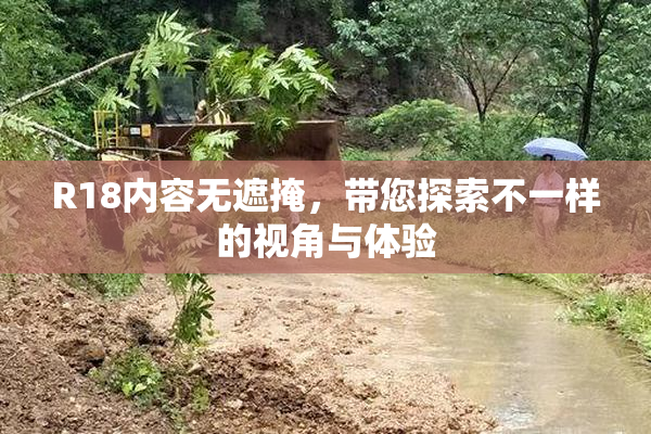 R18内容无遮掩，带您探索不一样的视角与体验