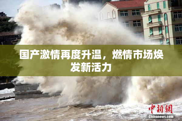 国产激情再度升温，燃情市场焕发新活力