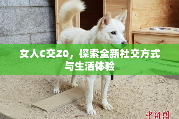 女人C交Z0，探索全新社交方式与生活体验
