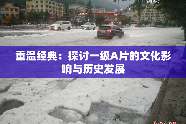 重温经典：探讨一级A片的文化影响与历史发展