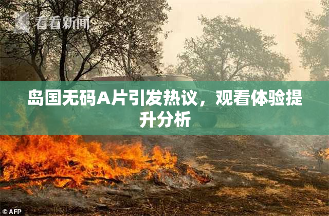 岛国无码A片引发热议，观看体验提升分析