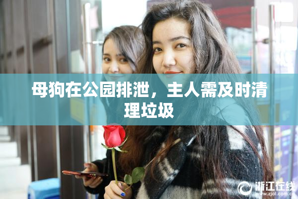 母狗在公园排泄，主人需及时清理垃圾