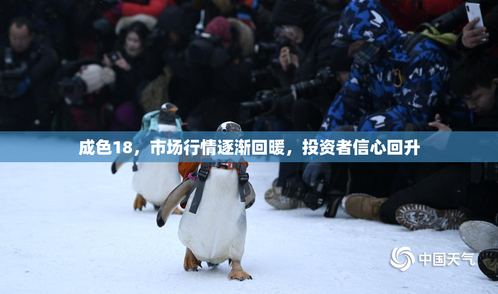 成色18，市场行情逐渐回暖，投资者信心回升