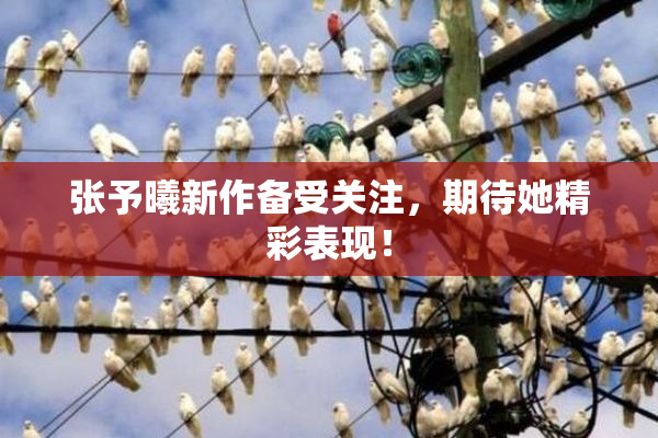 张予曦新作备受关注，期待她精彩表现！