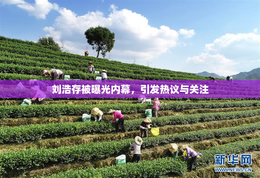 刘浩存被曝光内幕，引发热议与关注
