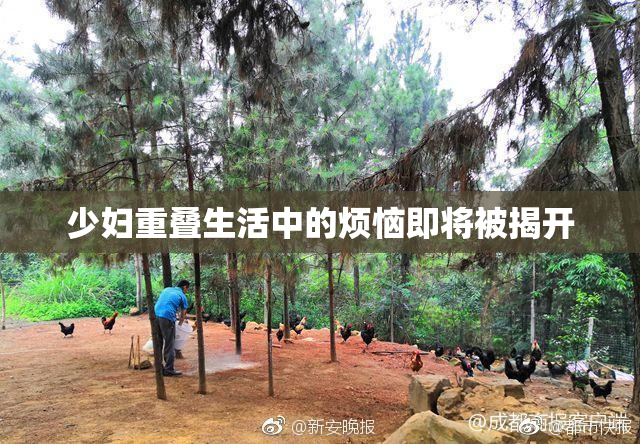 少妇重叠生活中的烦恼即将被揭开