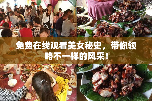 免费在线观看美女秘史，带你领略不一样的风采！