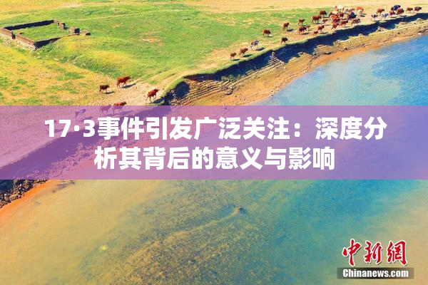 17·3事件引发广泛关注：深度分析其背后的意义与影响