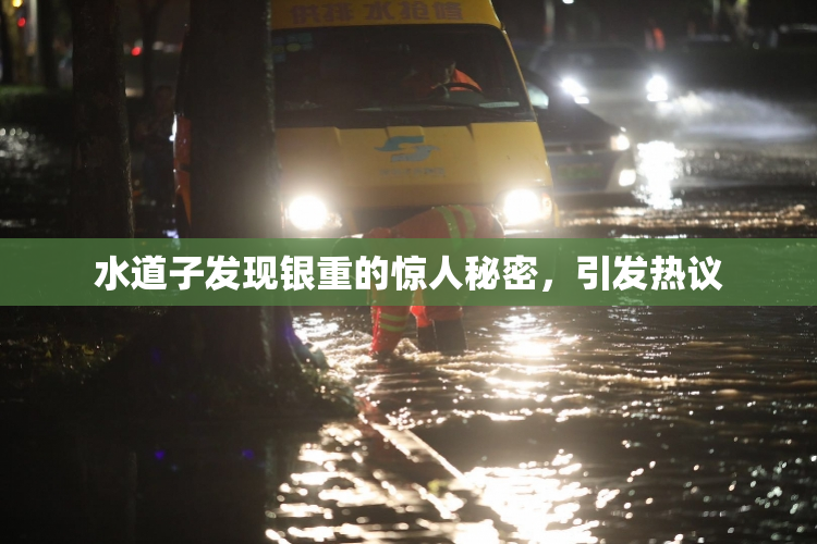 水道子发现银重的惊人秘密，引发热议