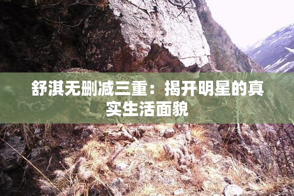 舒淇无删减三重：揭开明星的真实生活面貌